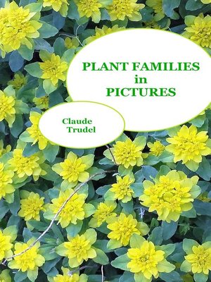 cover image of Plant Families in Pictures